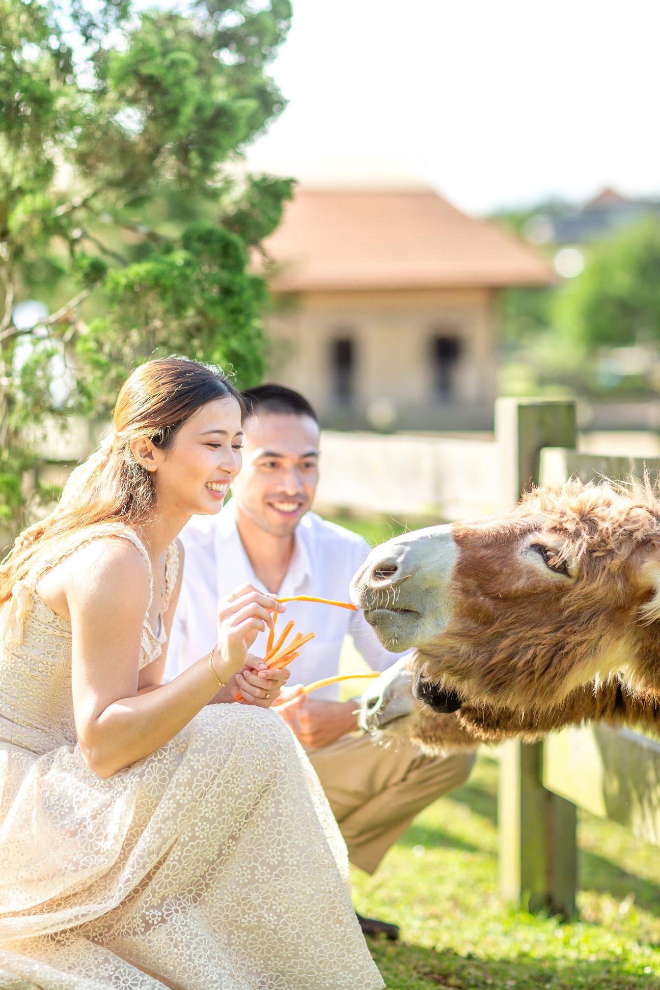 A couple share a laugh by a wooden garden fence surrounded by yellow blooms