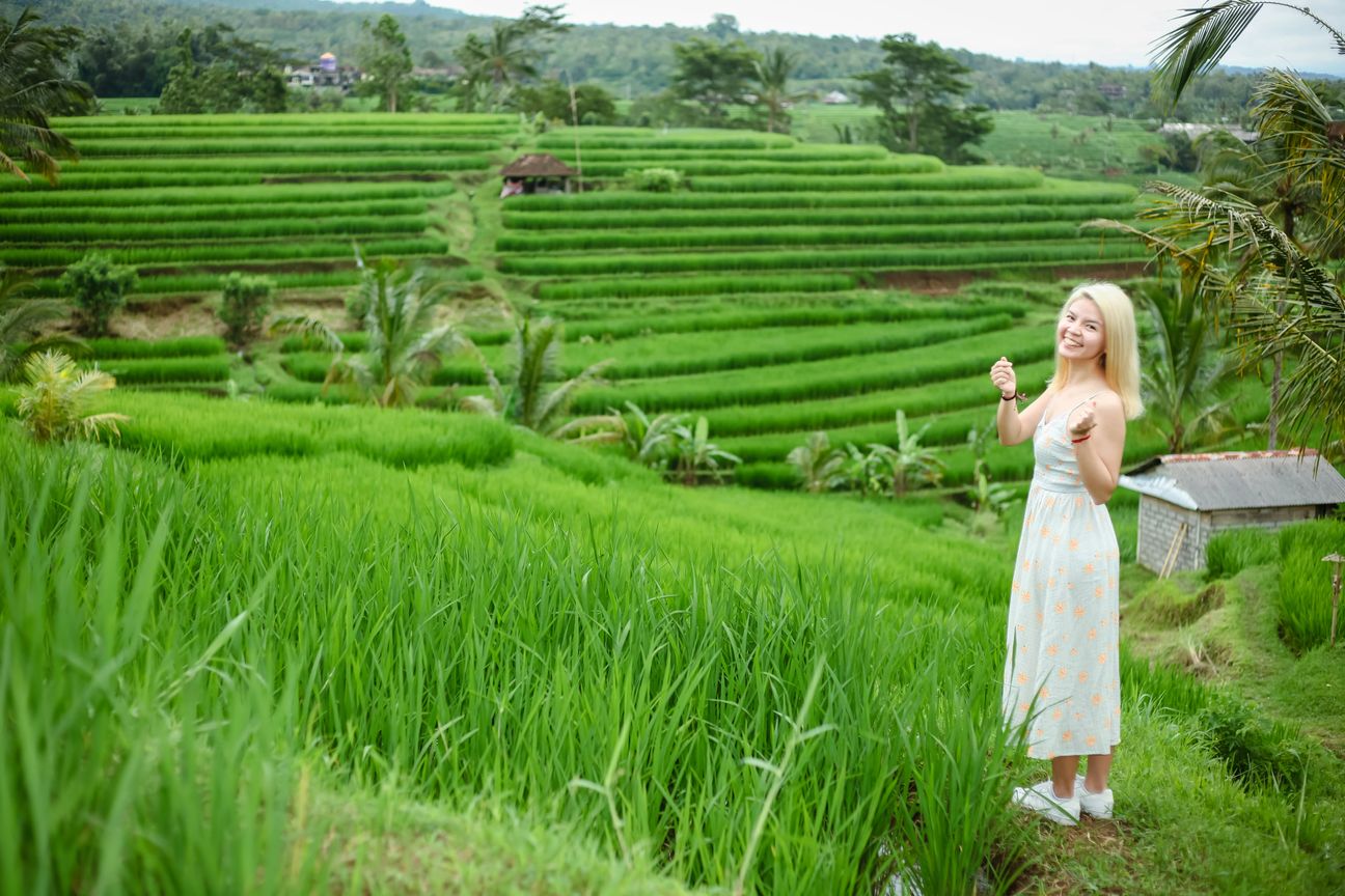 A traveller poses among vivid green rice terraces with mountains behind