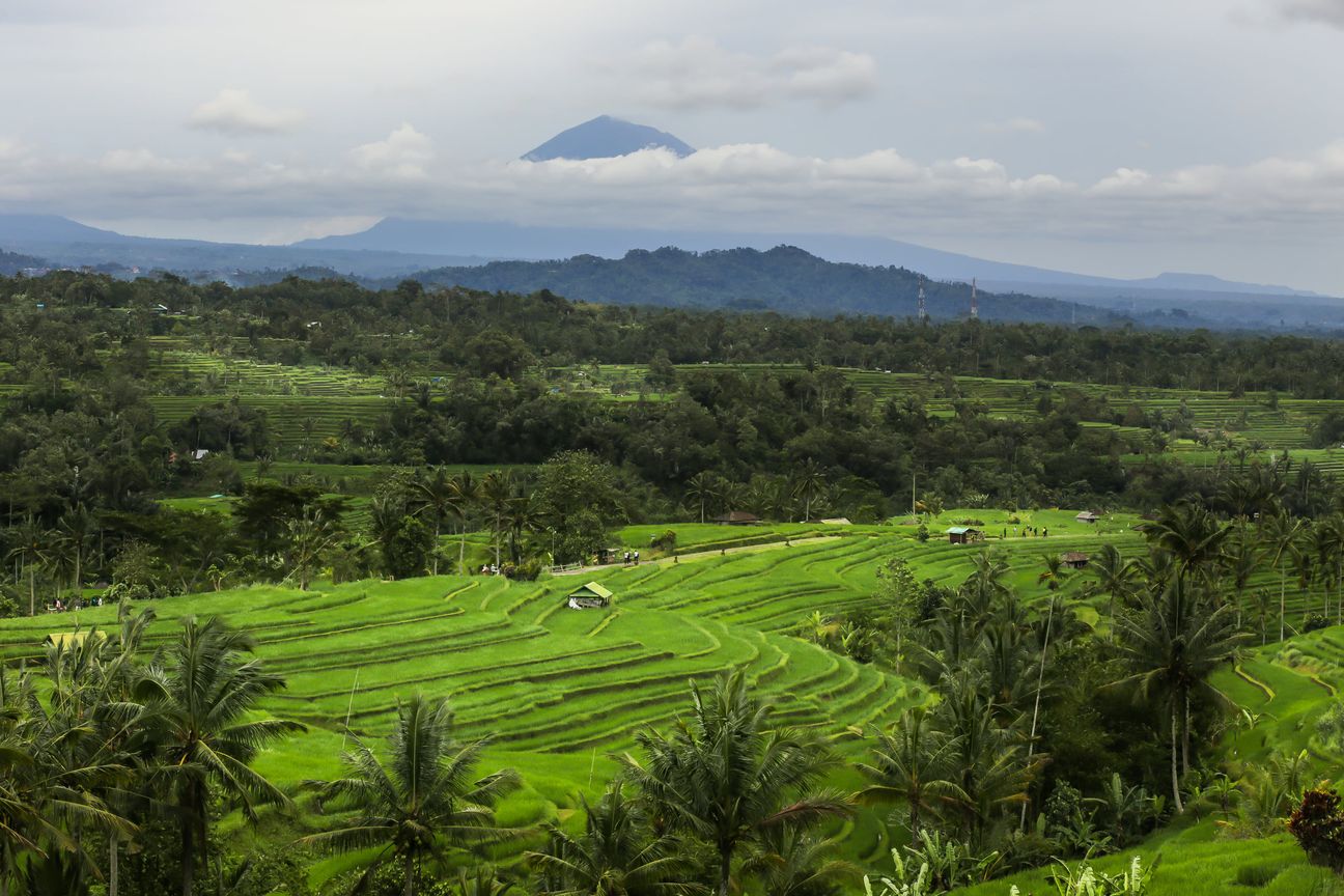 Layered green rice terraces stretch toward distant mountains