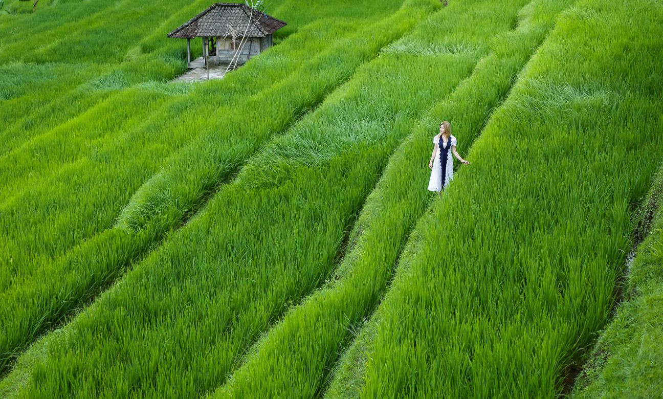 Travellers talk and eat around a table overlooking rice terraces