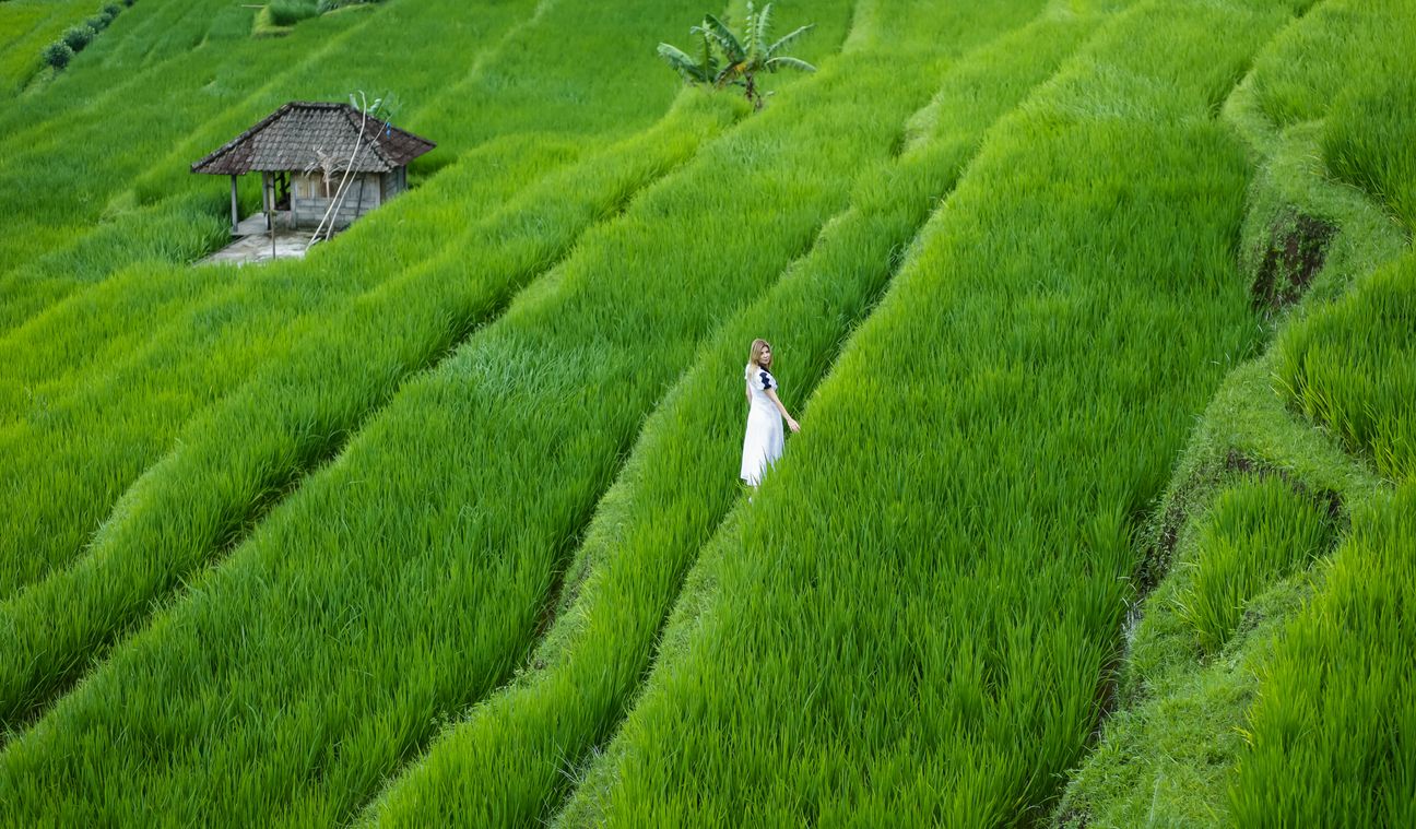 Travellers pose among layered green rice fields in Bali